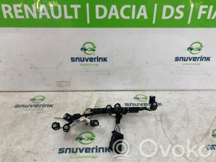 Renault Symbioz Altro tipo di cablaggio 