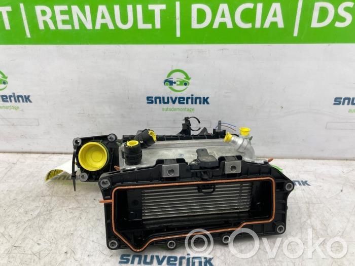 Dacia Spring Imusarja 