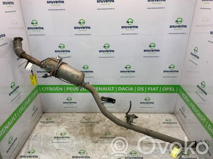 Renault Trafic III (X82) Filtru de particule catalizator/FAP/DPF 