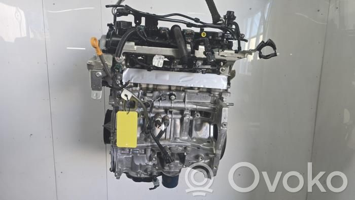 Renault Arkana Variklis 