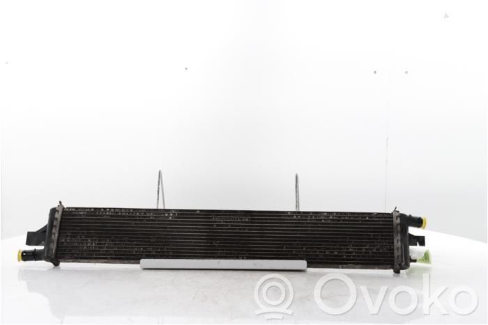 Opel Movano B Radiator lichid răcire 