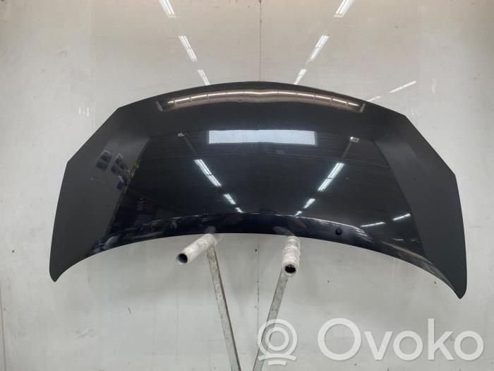 Renault Twingo II Konepelti 
