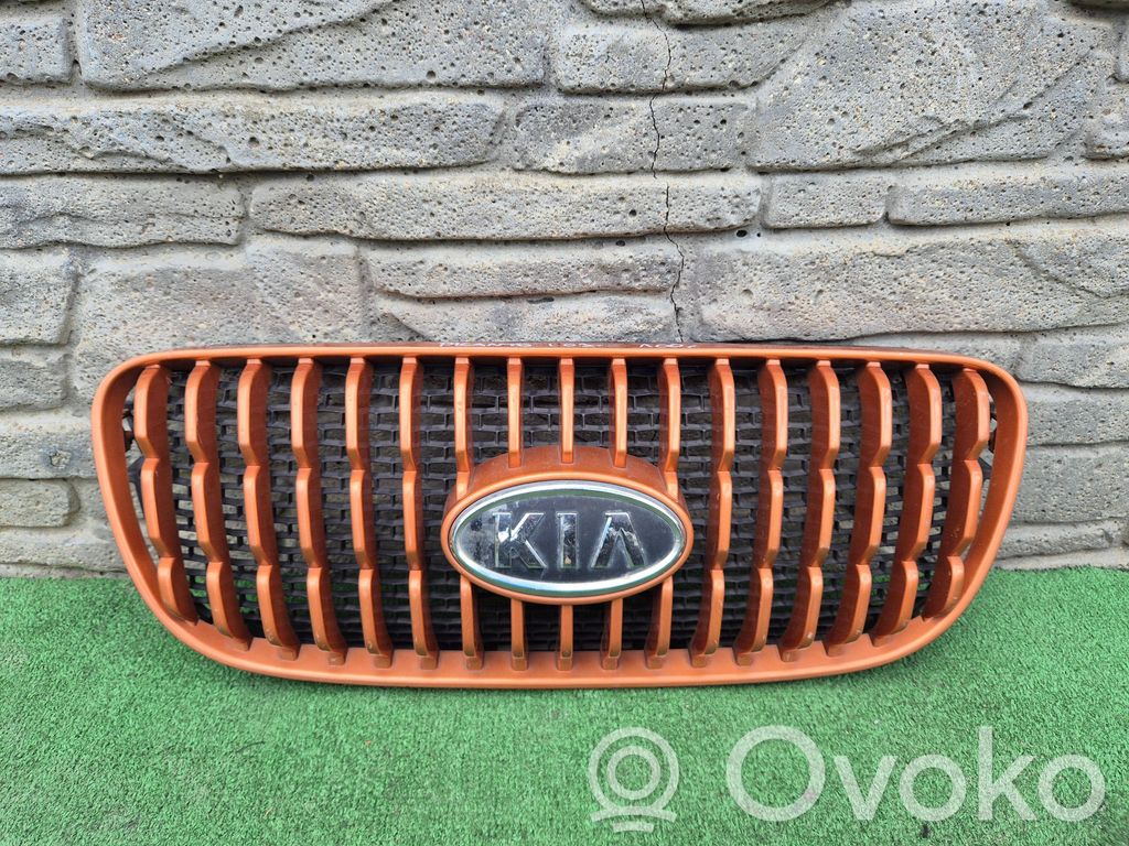 Atrapa chłodnicy / Grill   8636207010SAJ,8636207010