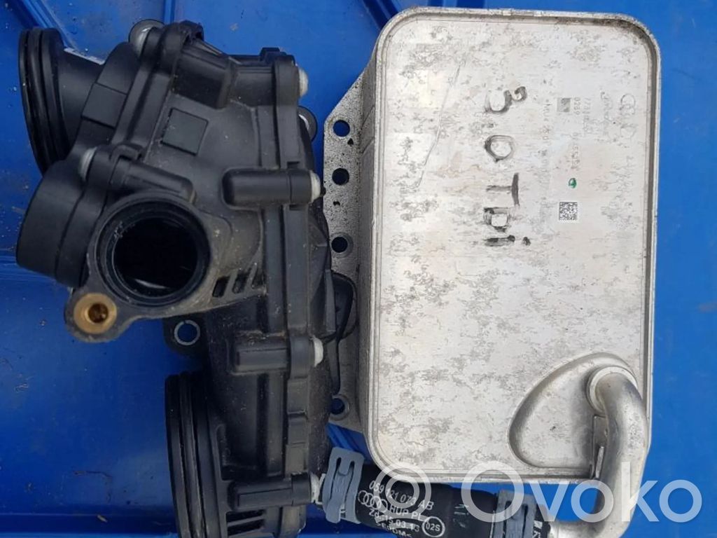 Volkswagen Touareg III Termostatas/ termostato korpusas 