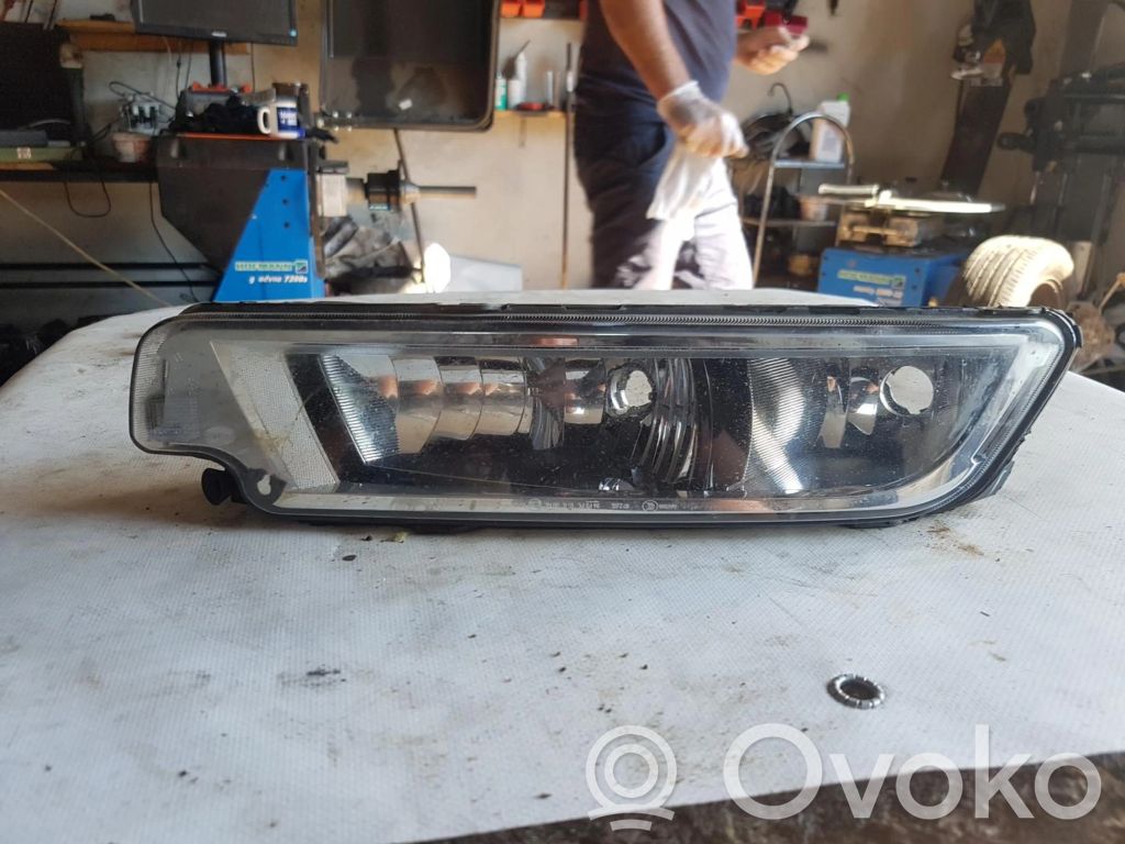 Volkswagen PASSAT B7 Etusumuvalo 