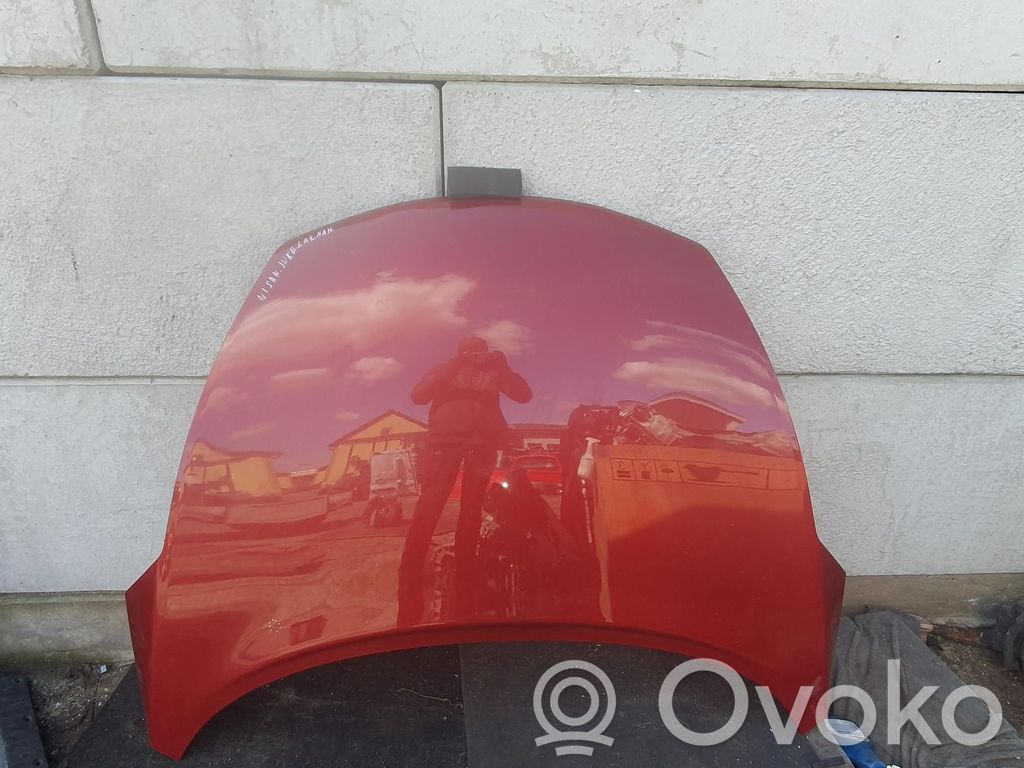 Nissan Juke I F15 Engine bonnet/hood 