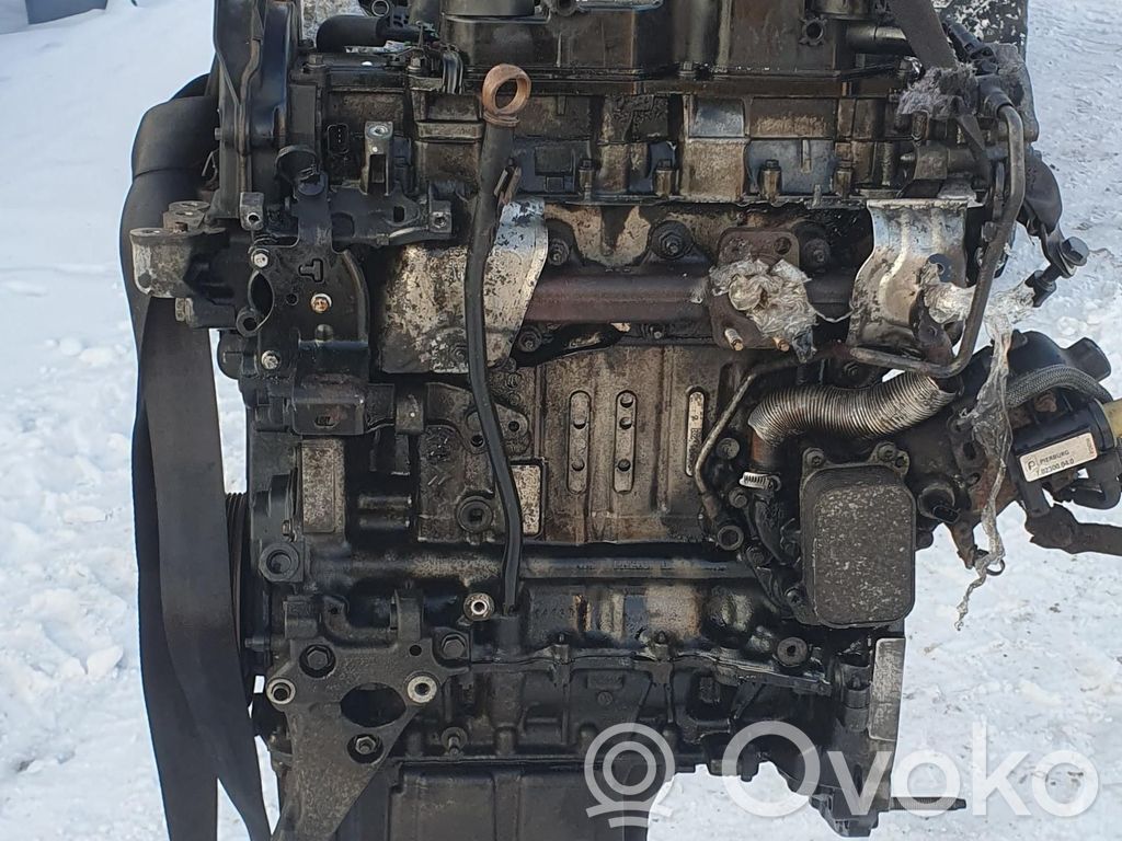 Citroen Jumpy Engine 