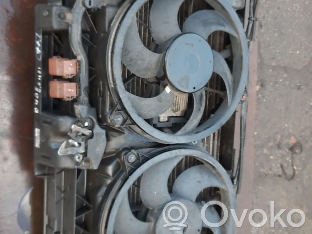 Peugeot 407 Radiatorių panelė 