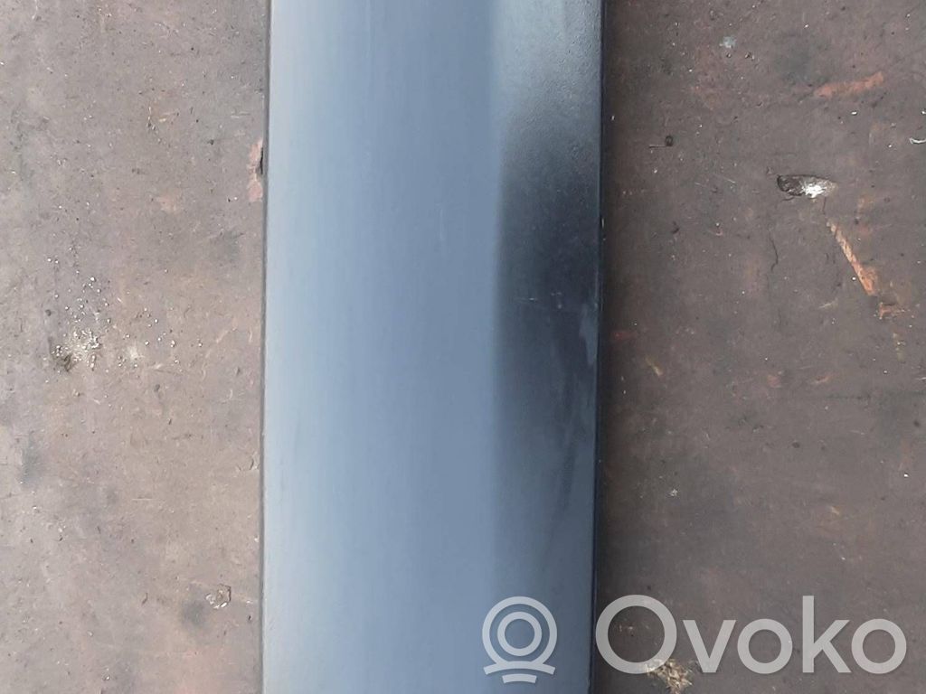Citroen Berlingo Rear door trim (molding) 