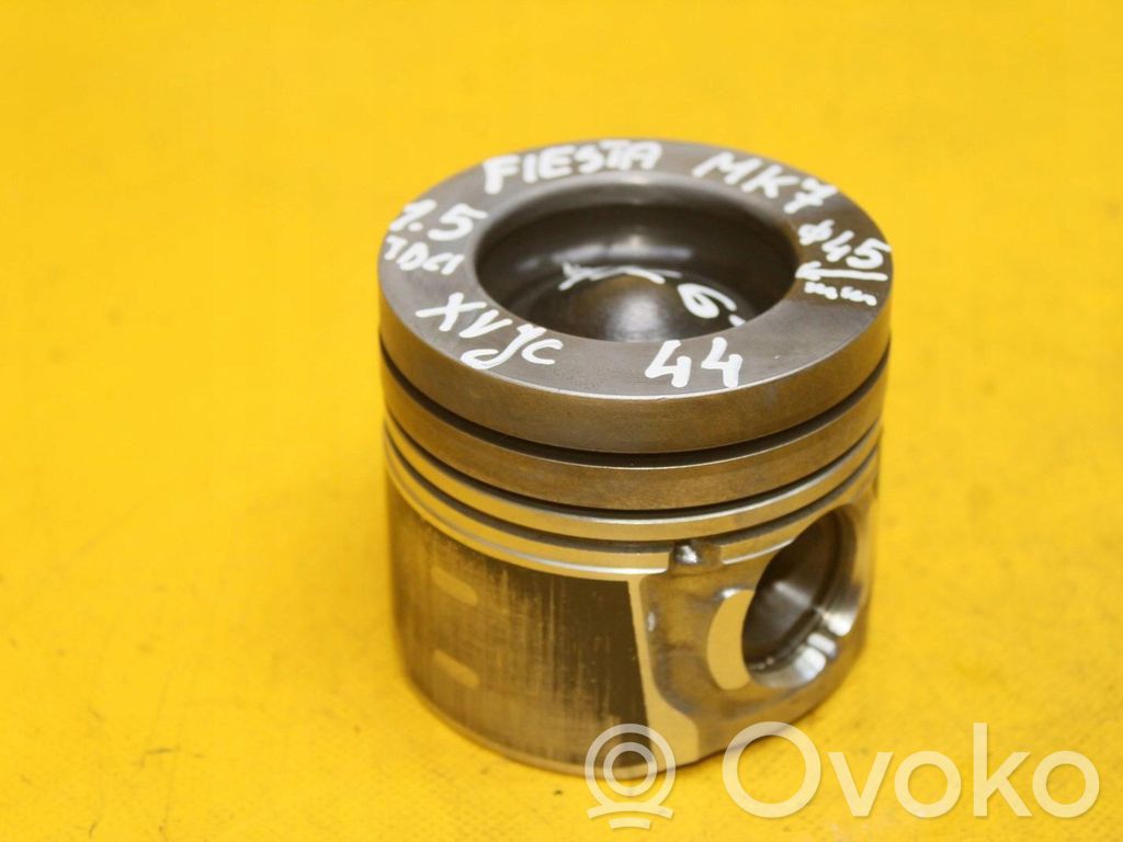 Pistón   73L61
