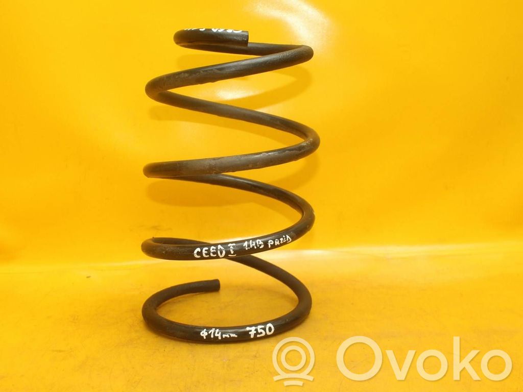Front coil spring   750