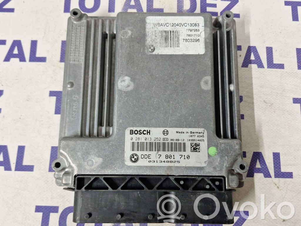 Engine control unit/module   0281013252,7801710,031348825