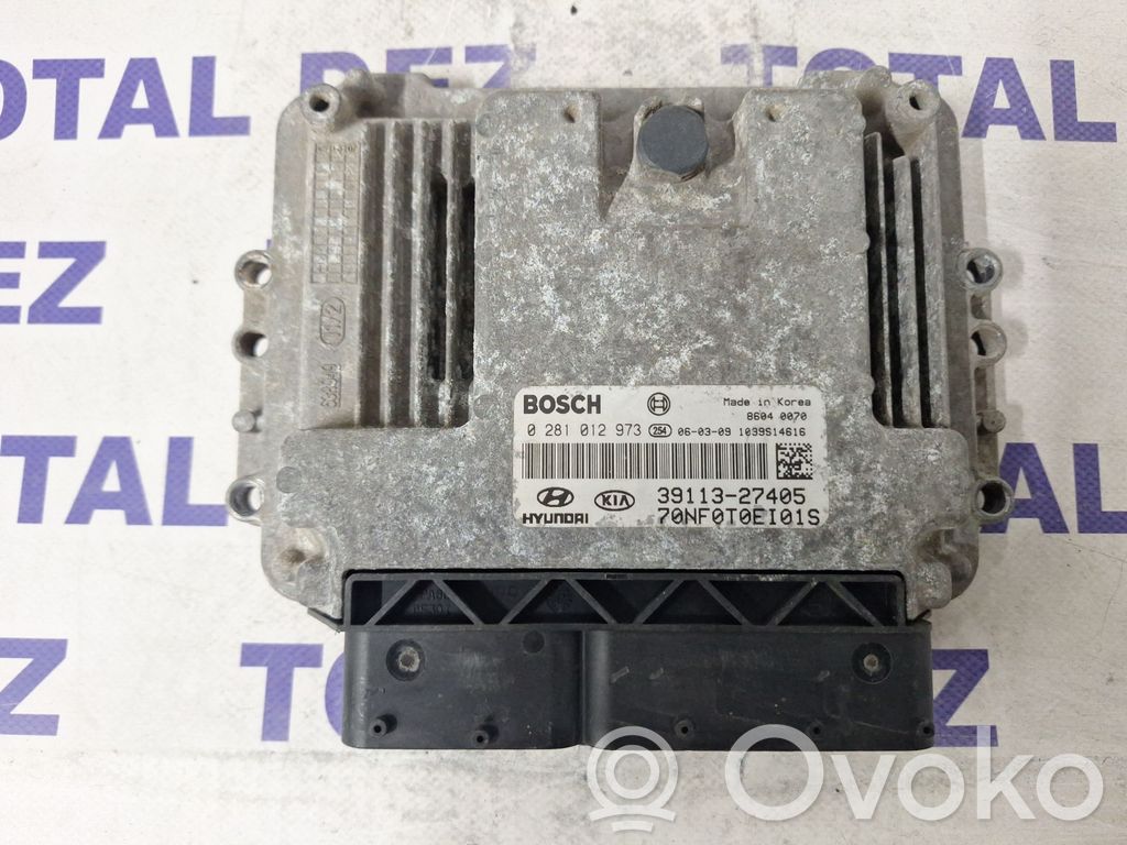 Engine control unit/module   3911327405,0281012973,70NF0T0EI01S