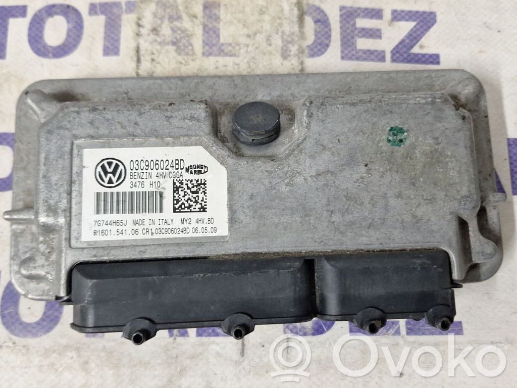 Engine control unit/module   03C906024BD,61601541,7G744H65J