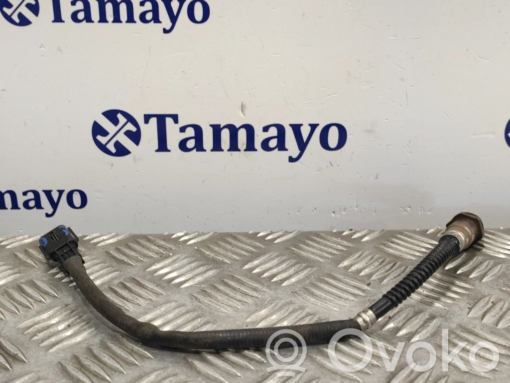 Sonda lambda   H8200437489,0258010110