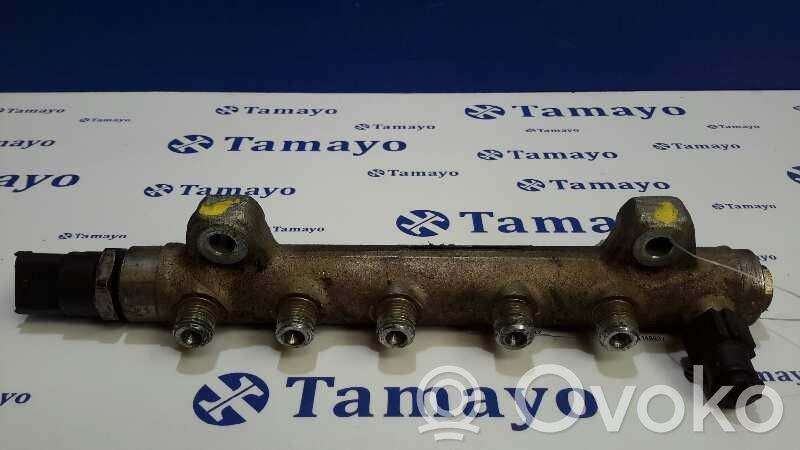 Rampa inyectora   0445214042,8200148037