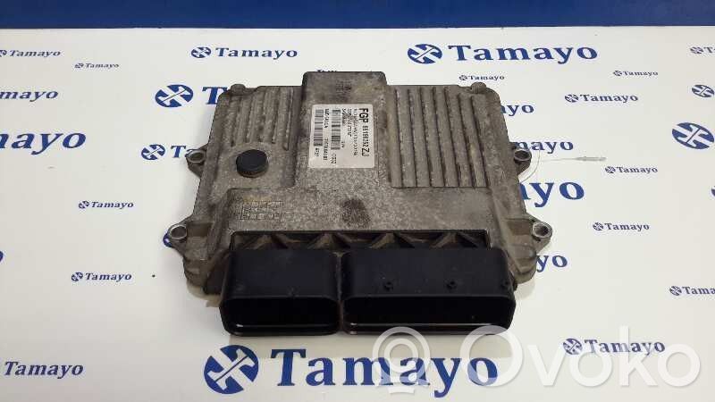 Engine control unit/module   55196352ZJ,7160004905