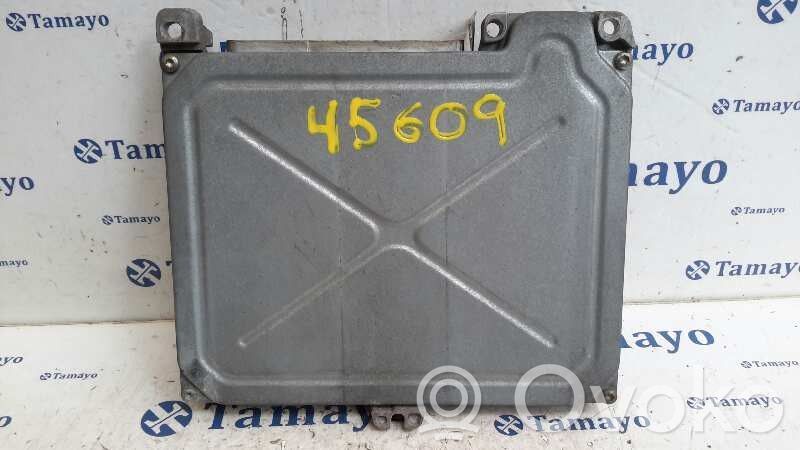 Renault 19 Engine control unit/module 