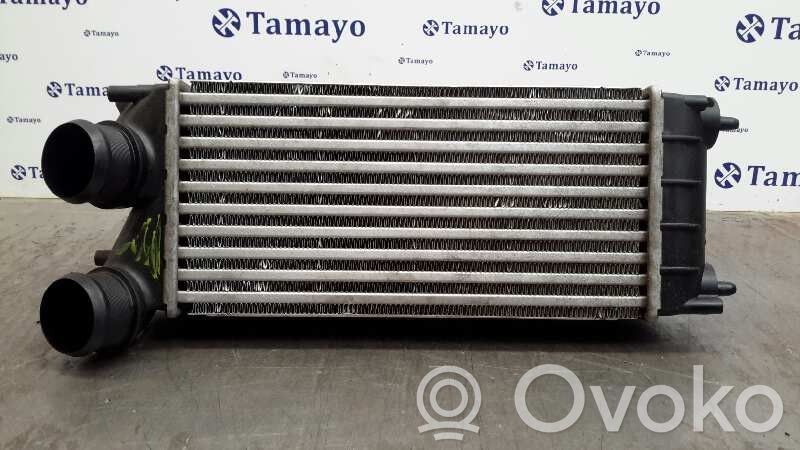 Peugeot 307 Radiatore intercooler