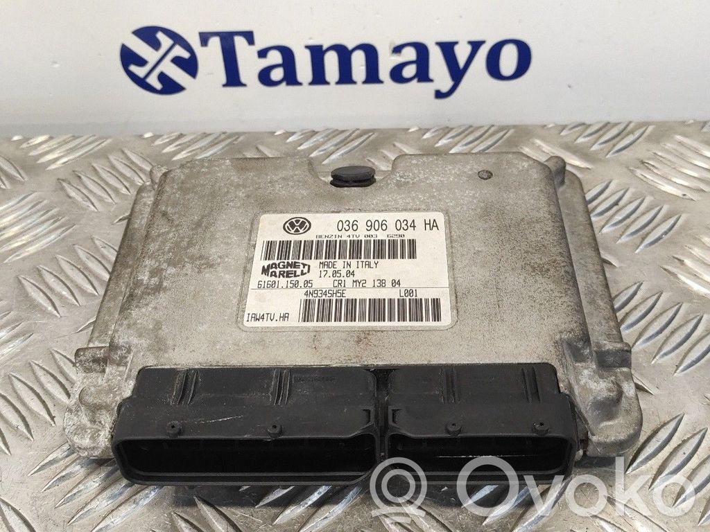 Sterownik / Moduł ECU   03690634HA,IAW4TVHA,6160115005
