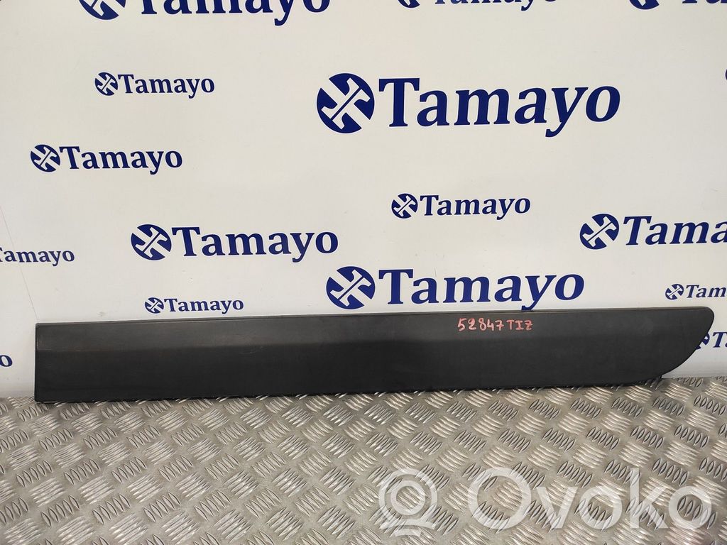 Moldura del panel   1497643077