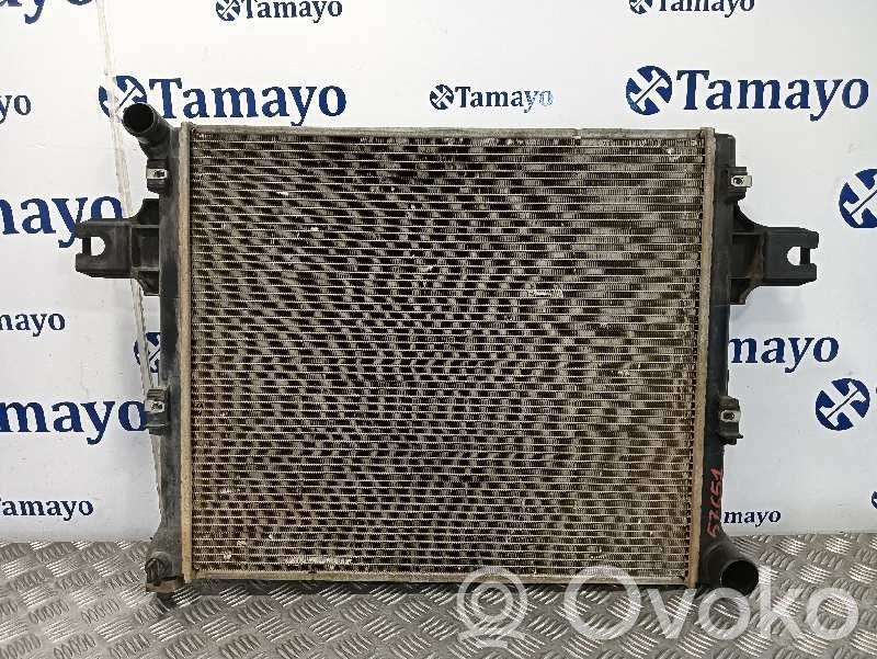 Jeep Grand Cherokee (WK) Radiator lichid răcire
