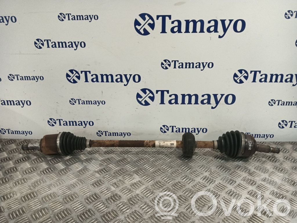 Semiasse anteriore   391006276R