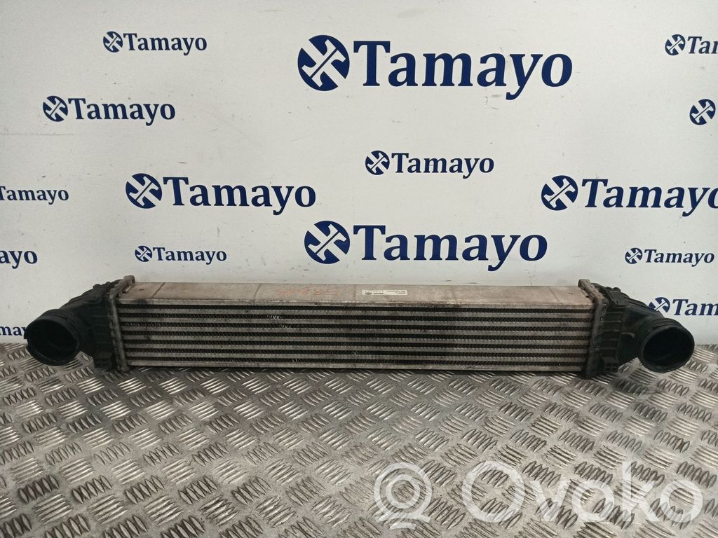 Mercedes-Benz A W169 Radiator intercooler 