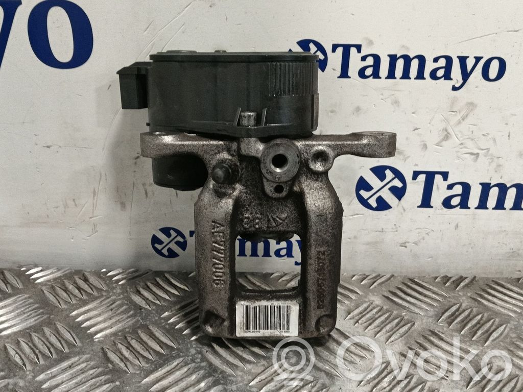 Takajarrusatula   0204L69449,9819059380