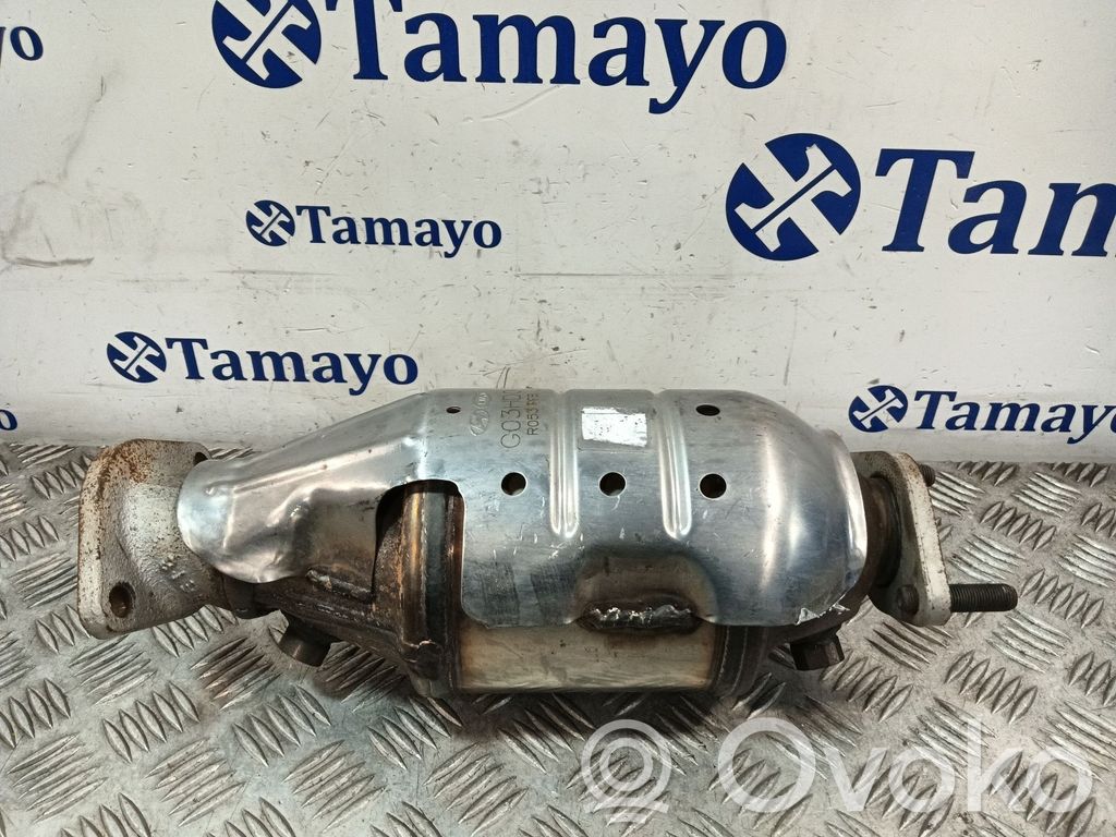 Filtr cząstek stałych Katalizator / FAP / DPF   G03HD0,R053PFB