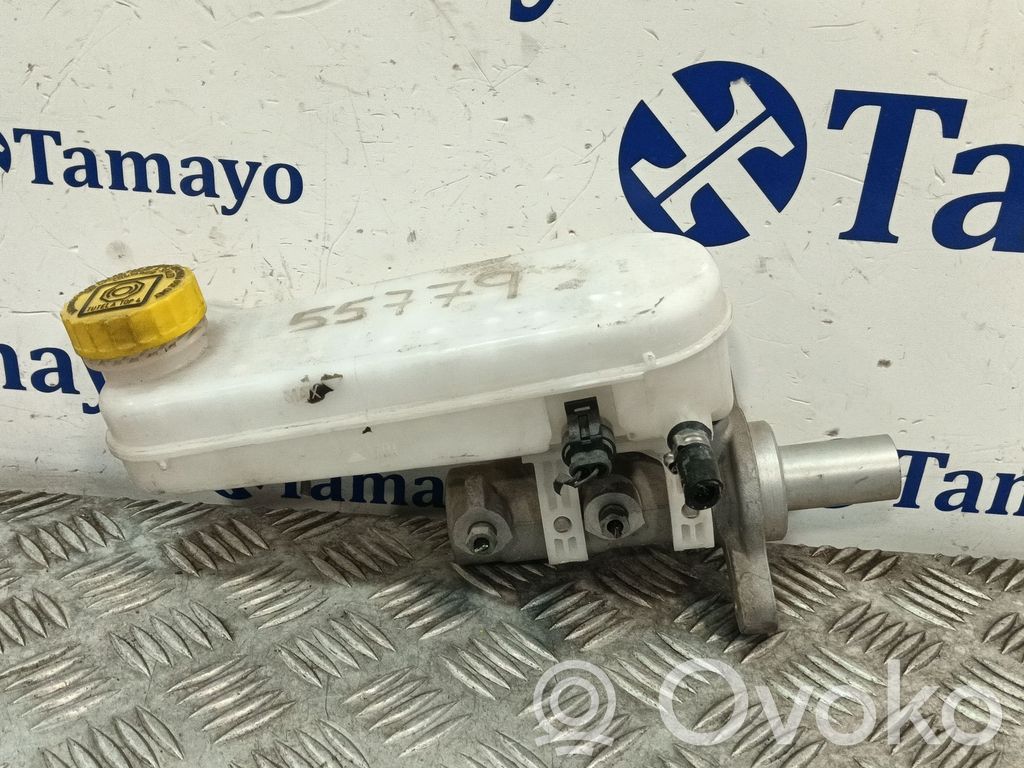 Fiat Ducato Servofreno 
