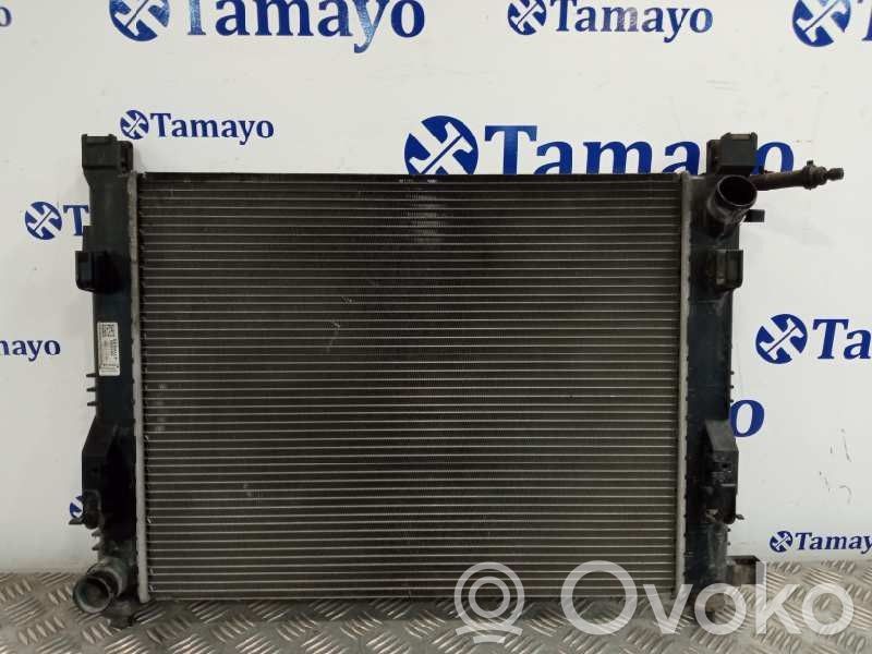 Dacia Sandero III Radiator lichid răcire 