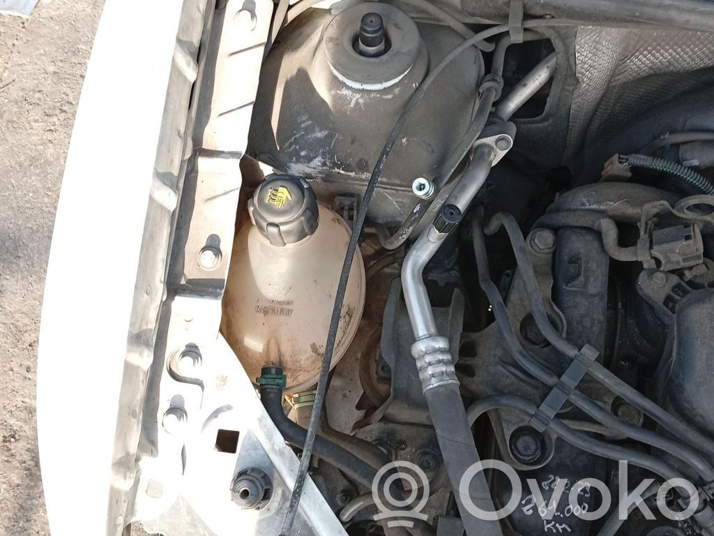 Dacia Sandero II Kuro išsiplėtimo bakelis