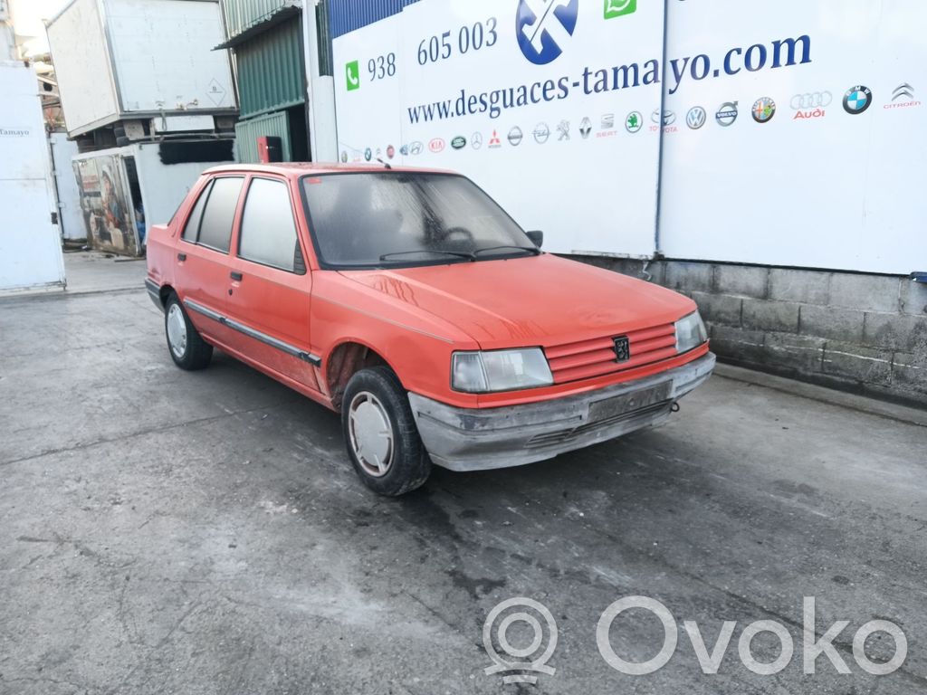 Peugeot 309 Motor 