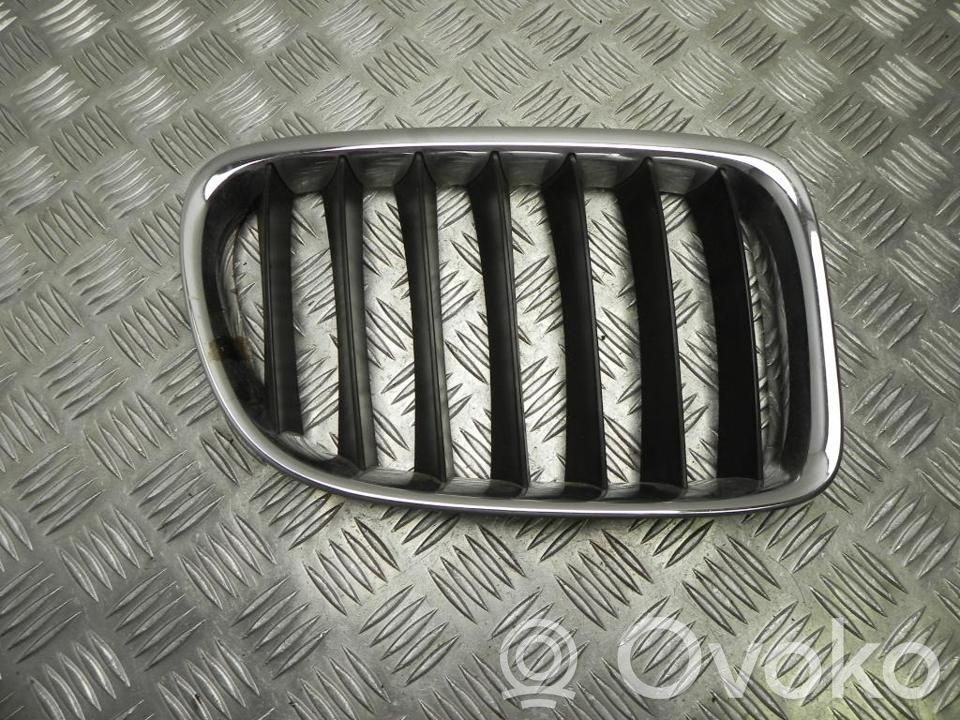 BMW X1 E84 Front grill 