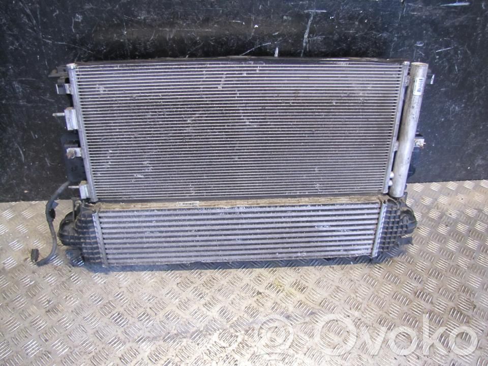 Radiatorių komplektas   E1G36K775JA,RAD028,DG938005CD,RAD028