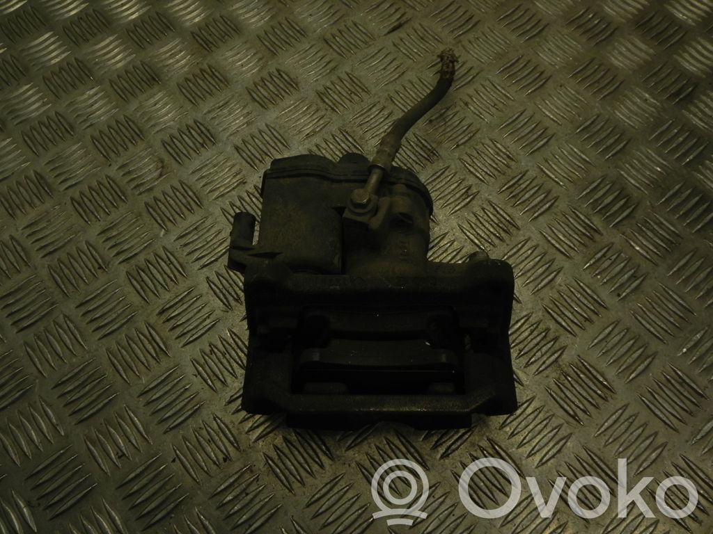 Takajarrusatula   8W0405AT,VD24081