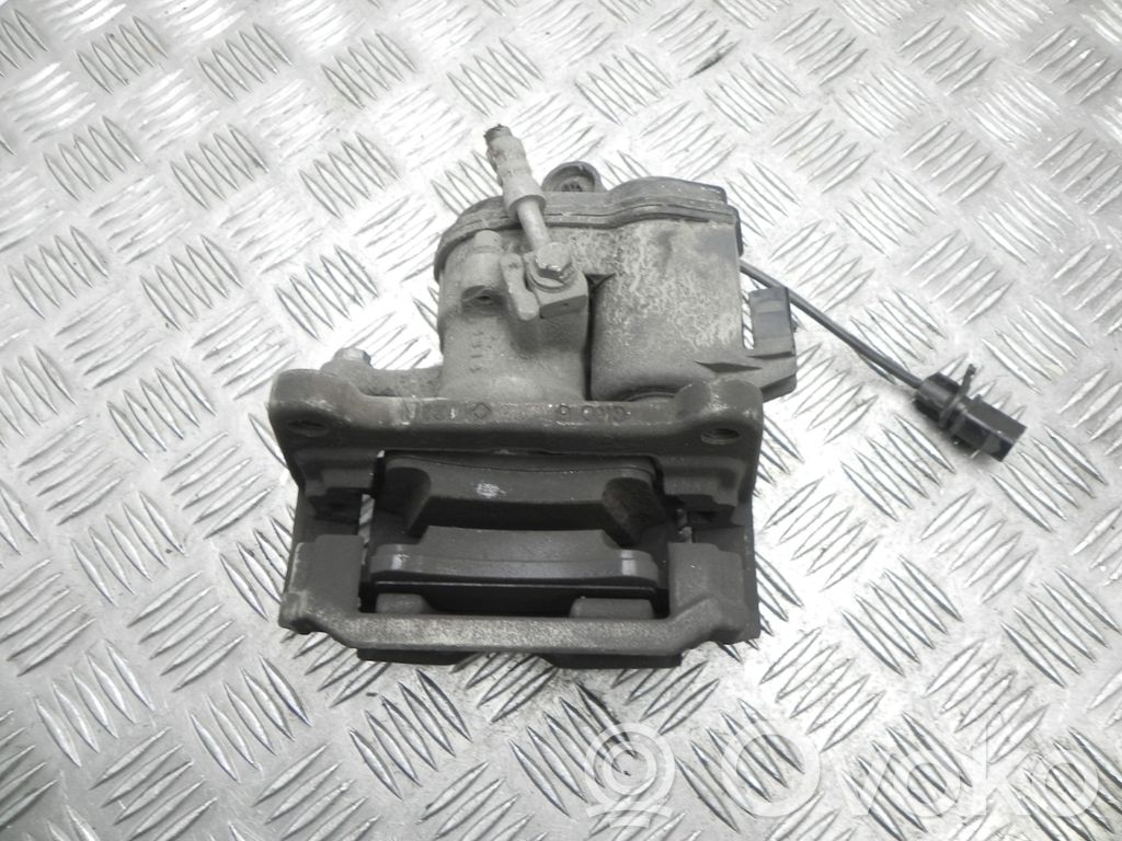 Takajarrusatula   8W0406AT,VD24085
