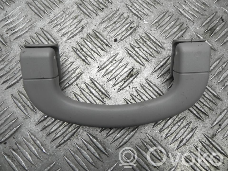 Asidero interior trasero   DX4,L1669