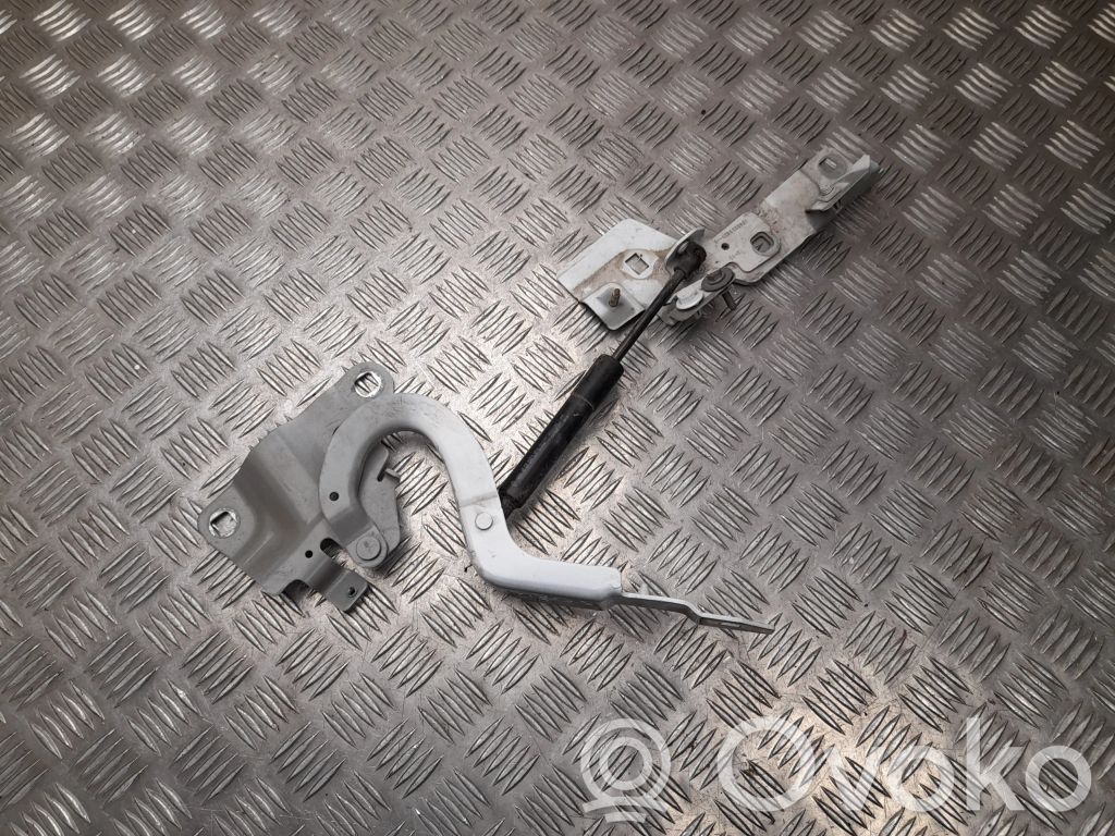 Renault Zoe Tailgate/trunk/boot hinge 