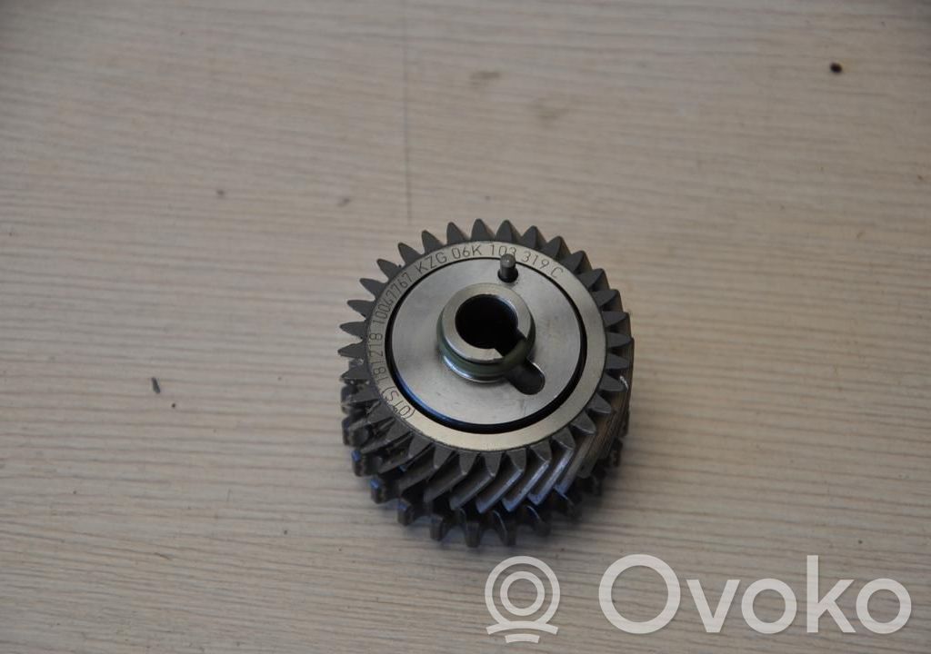Wałek wyrównoważający   06K103333G,06K103316C,KLEP4467