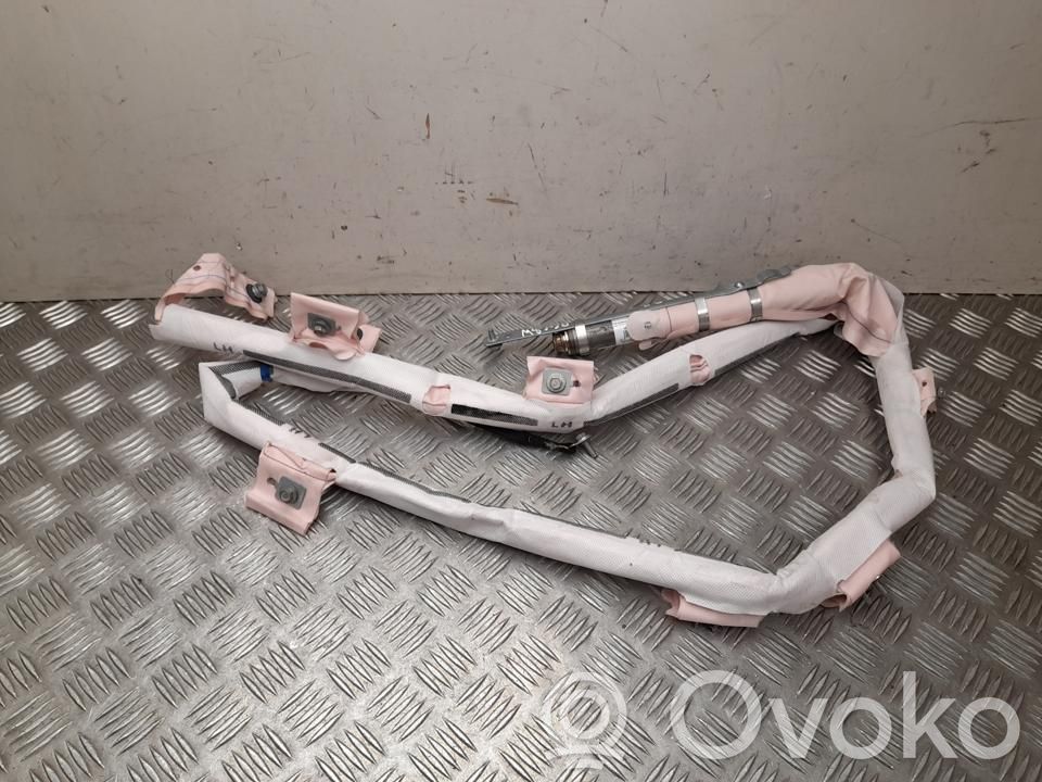 Tesla Model S Airbag del techo 
