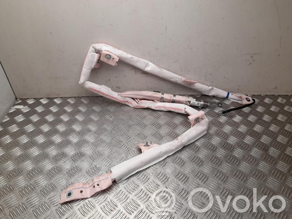 Tesla Model S Airbag del techo 