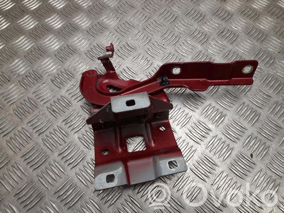 Dacia Sandero Balamale capotă 