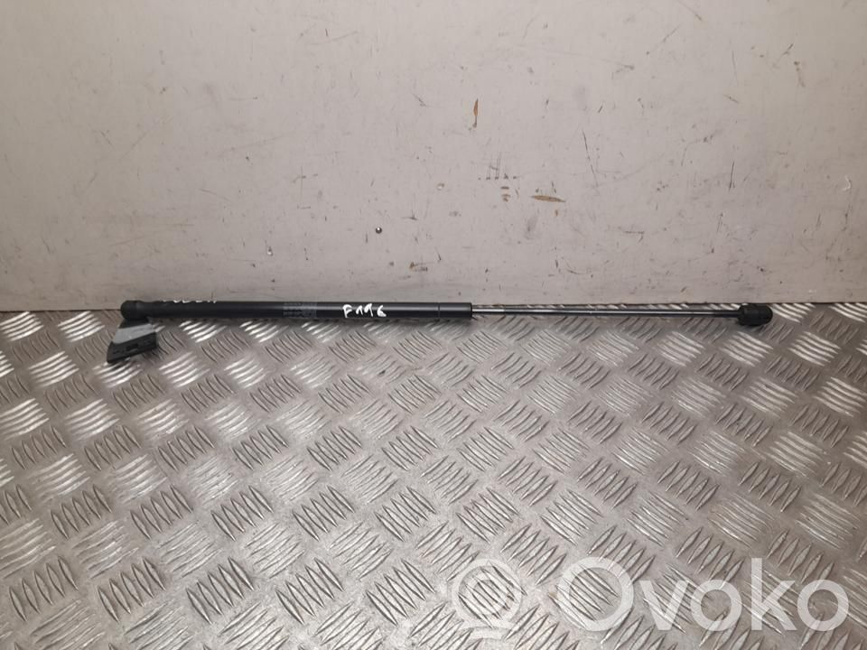 Ligier JS 50 Resort tensionare hayon/portbagaj/oblon 