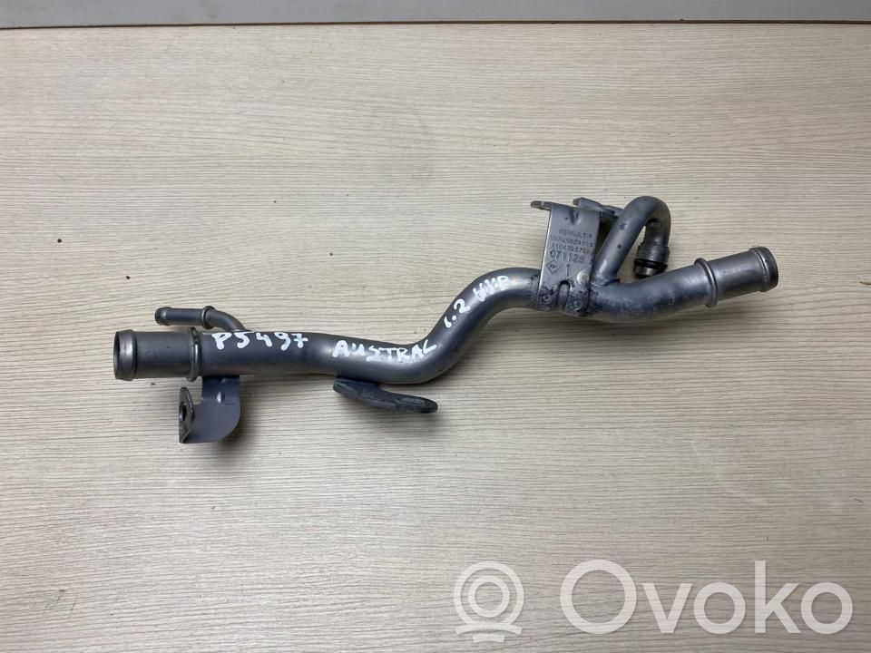 Renault Austral Przewód / Wąż chłodnicy 