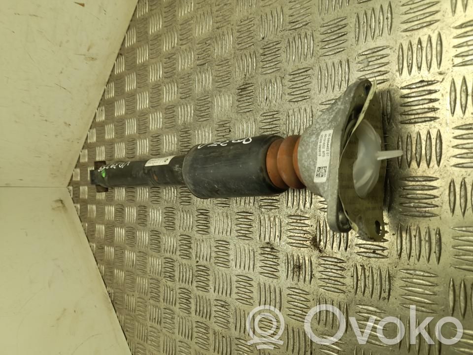 BMW 2 F22 F23 Amortizor spate 