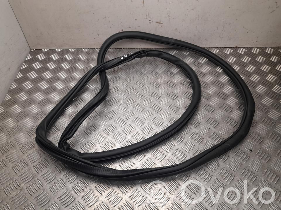 Volkswagen Tayron II Gumowa uszczelka drzwi przednich 