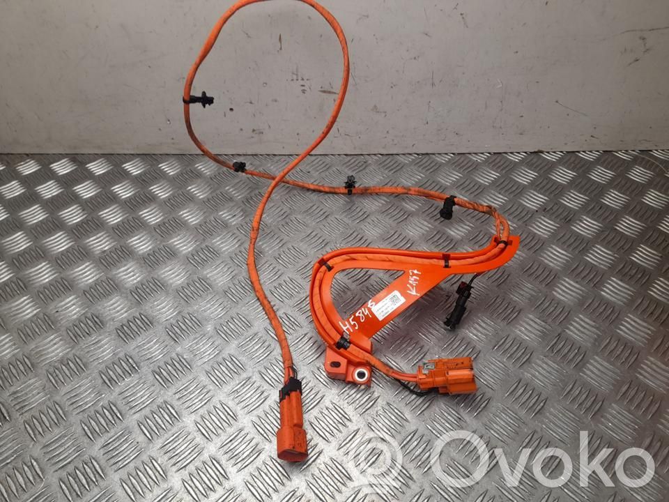 Tesla Model Y Other wiring loom 