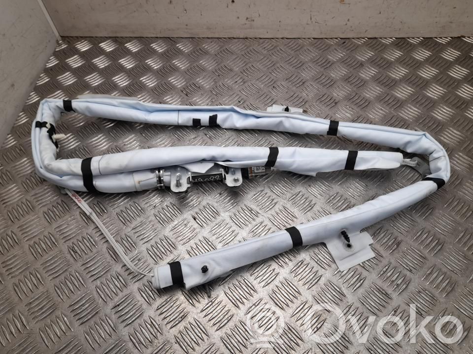 Airbag del techo   1744307CN,1744307CNH,M9088